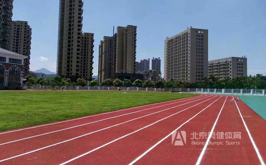 塑胶跑道建造价格多少钱学校塑胶操场造价必备(图3)